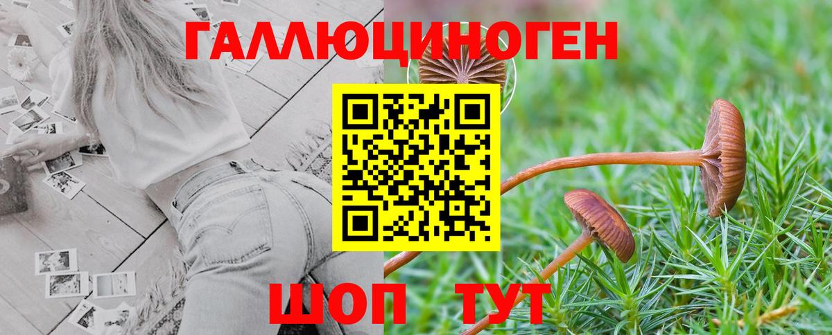 как найти   Псилоцибиновые грибы MAGIC MUSHROOMS  Вход с VPN  Псилоцибиновые грибы Magic Shrooms  Сердобск 