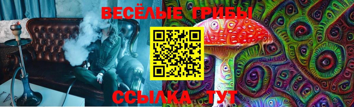 Псилоцибиновые грибы MAGIC MUSHROOMS Сердобск